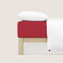 Ielādējiet video galerijas pārlūkā, Palags ar gumiju Bio - kokvilna Red deep | Casual schlafgut